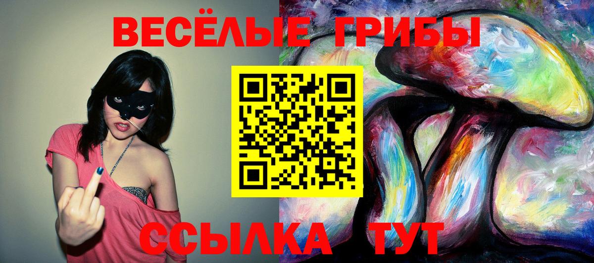 Псилоцибиновые грибы прущие грибы  купить  сайты  Реж  Вход с VPN 
